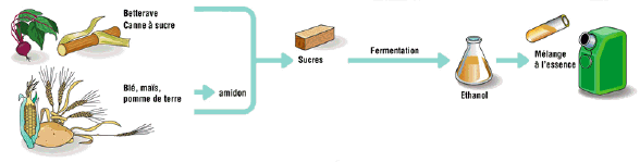 http://www.developpement-durable.gouv.fr/IMG/jpg/filiere-biocarburant-essence.jpg