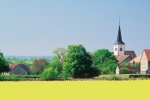 Thinkstock Thinkstock