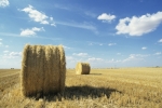 Thinkstock Thinkstock