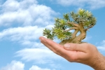 Thinkstock Thinkstock