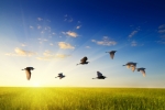 Thinkstock Thinkstock