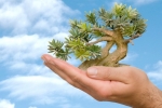 Thinkstock Thinkstock