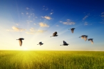 Thinkstock Thinkstock