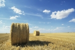 Thinkstock