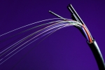 Thinkstock Thinkstock
