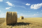 Thinkstock Thinkstock