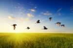 Thinkstock Thinkstock