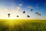 Thinkstock