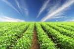 Thinkstock Thinkstock