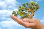 Thinkstock Thinkstock