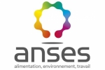 ANSES ANSES