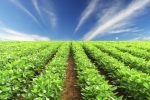 Thinkstock