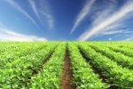 Thinkstock Thinkstock