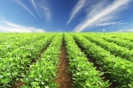 Thinkstock Thinkstock