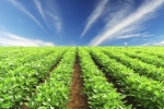 Thinkstock Thinkstock