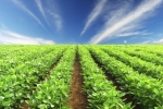 Thinkstock Thinkstock