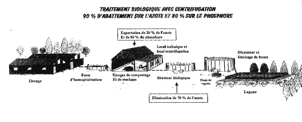 graphique