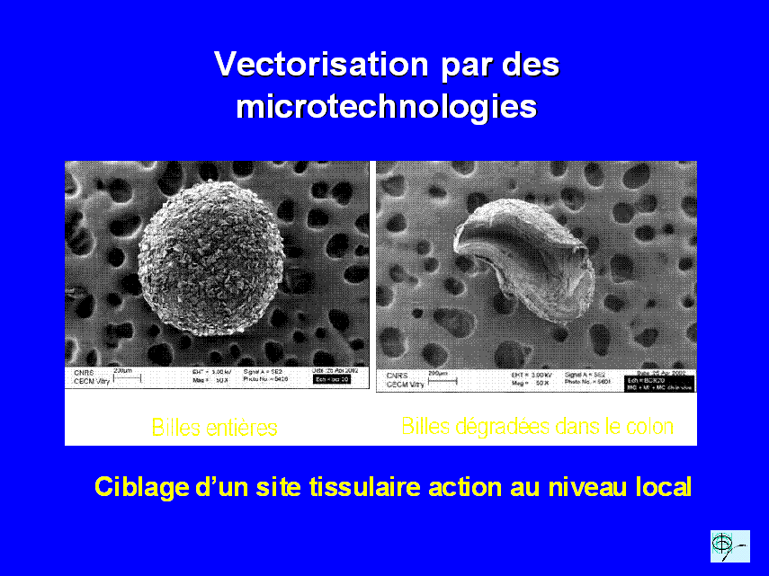 Tube à essais en verre ordinaire - Le Laborantin