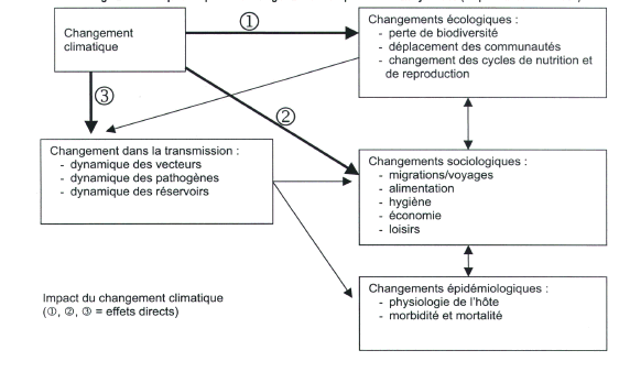 graphique