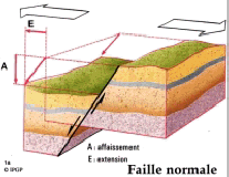 Figure 1a : Failles Normales : 

La composante horizontale du glissement correspond  un cartement (E) qui s'accompagne de l'affaissement d'un des blocs par rapport  l'autre.



Ces failles se rencontrent dans les rgions tires et amincies comme les dorsales mdio-ocaniques et les rifts continentaux.

