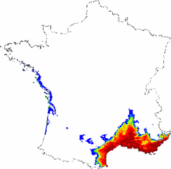 Répartition actuelle modélisée du chêne vert