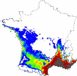 Répartition du chêne vert en 2050