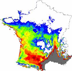 Répartition du chêne vert en 2100