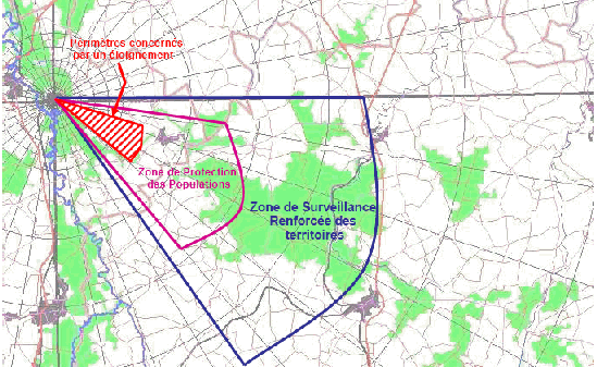 Drapeau de Sûreté - ESP FRANCE - Spécialiste en tir de précision et longue  distance