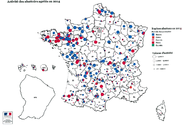 Avez-vous le droit d'abattre le cochon à la maison ?