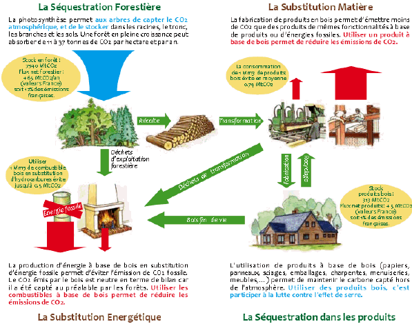 Biomasse, les différentes solutions à proposer pour stocker les bûches
