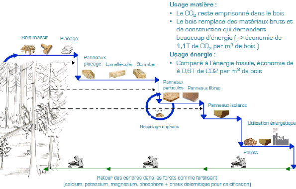 Bois de chauffage, bois bûche, SCIC ENR Bois & Energie en Pays de