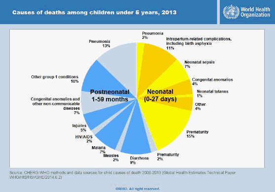 http://www.who.int/entity/gho/child_health/mortality/child_health_004.jpg