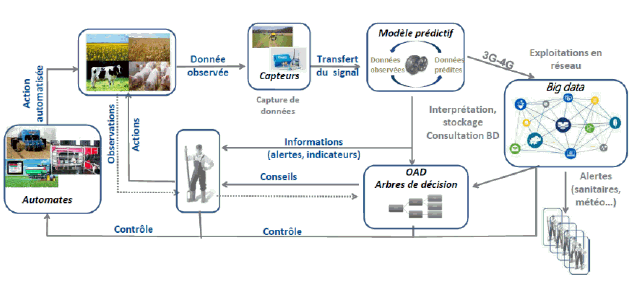 Des boîtes vides envoyées à des internautes complices :  attaque un  système élaboré de faux avis - Numerama