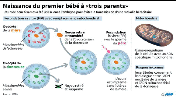 aissance du premier bb  "trois parents" 