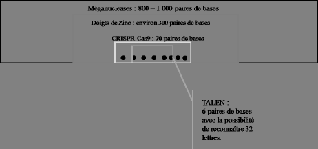 :\OFFICE_CHOIX\ETUDES EN COURS\Biotechnologies\RAPPORT\Ill1.png