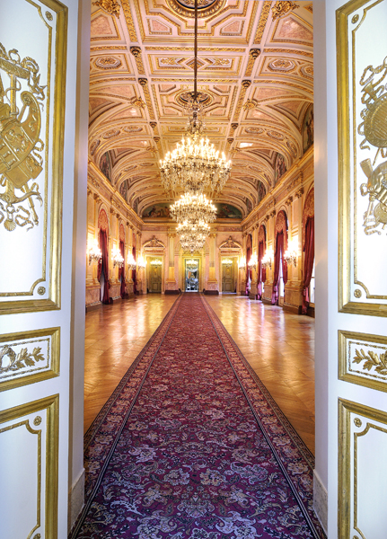 Hôtel de Lassay : La Salle des Fêtes