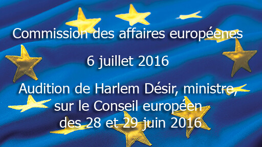 Audition de Harlem Désir sur le Conseil européen des 28 et 29 juin