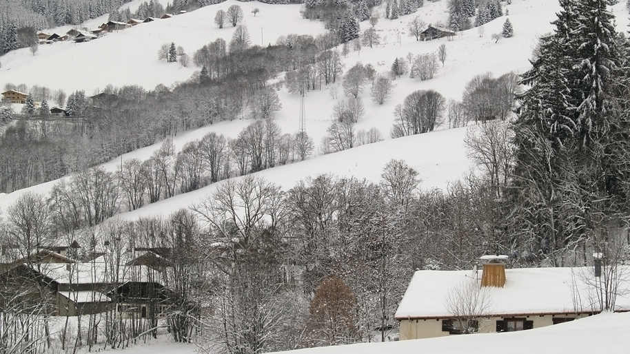 Paysage sous la neige